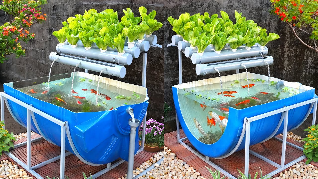 Aquaponics: Plants Fish Cultivation Using Technological Symbiosis Aquaponics: Plants Fish Cultivation Using Technological Symbiosis
