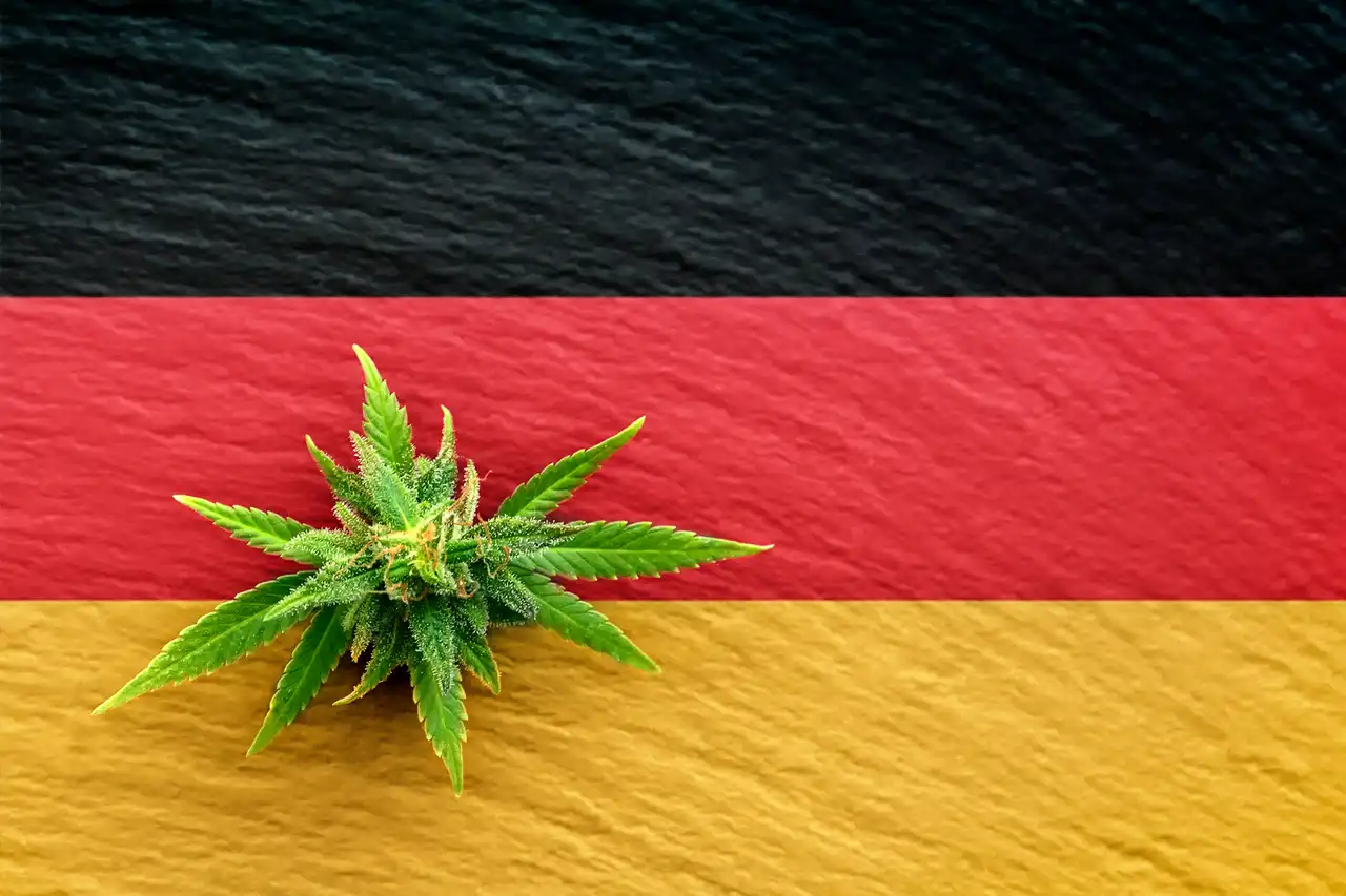Germany Legalize Cannabis Germany Legalize Cannabis