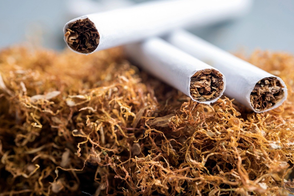 Tobacco - Things About Tobacco Dried Tobacco Leaves and Tobacco Cigerette