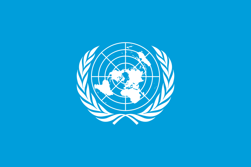United Nations (UN) The United Nations: A Vital Global Organization