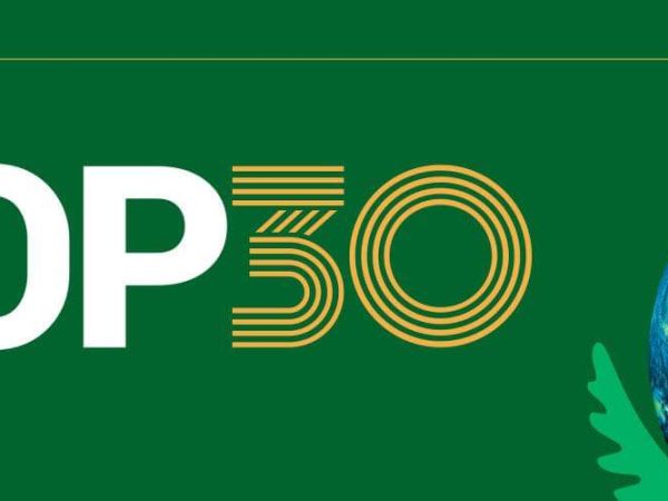 COP30 in Brazil: A Turning Point for Sustainable Development & Vile Play — With Lessons from Latin America and the Nordics