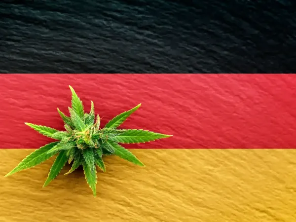 Germany Legalize Cannabis