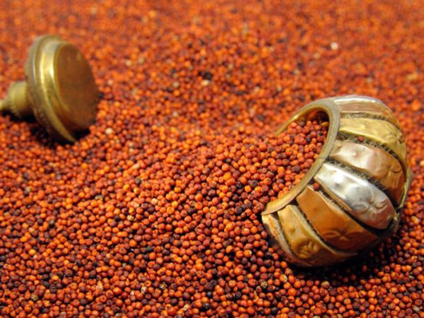 Ragi - Things About Finger Millet