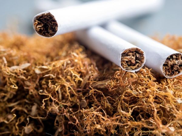 Dried Tobacco Leaves and Tobacco Cigerette